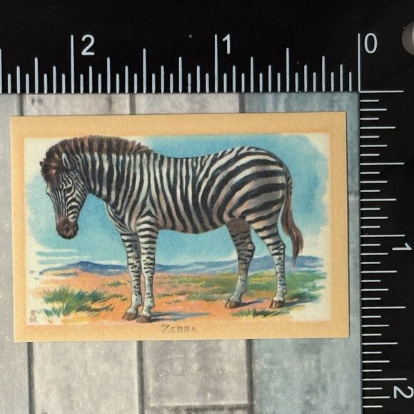 🌀10/$10🌀 Classic Grassland Animals Reusable Washi Sticker Decal - Picture 1 of 1